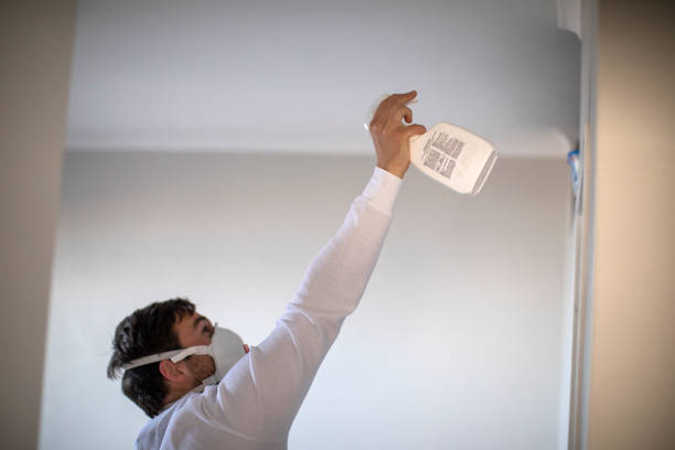 Best Residential Mold Remediation in Nacogdoches, TX