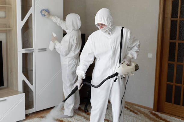 Best Industrial Mold Remediation in Nacogdoches, TX