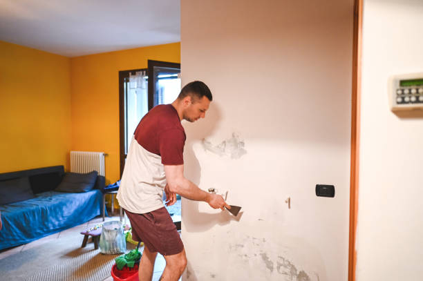 Best Mold Testing and Inspection Services in Nacogdoches, TX