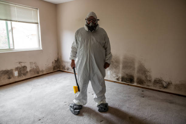 Best DIY Mold Remediation Support Services in Nacogdoches, TX